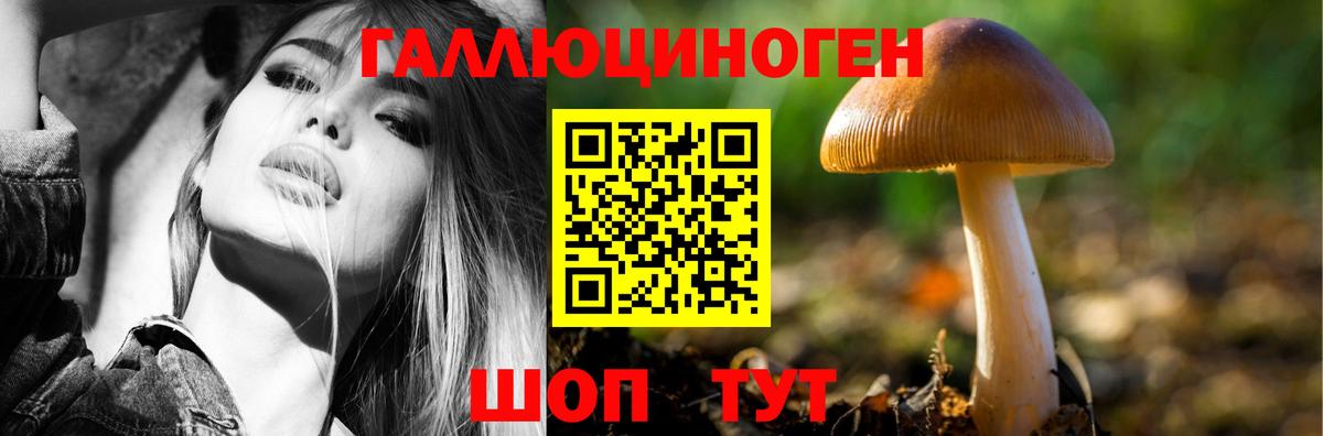 Галлюциногенные грибы MAGIC MUSHROOMS  Вход с VPN  Мыски 